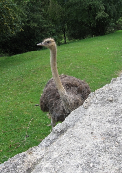 ZOO Plzeň 01