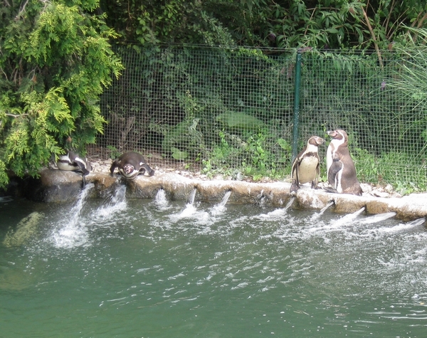 ZOO Plzeň 02