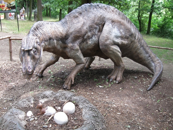 DinoPark 04