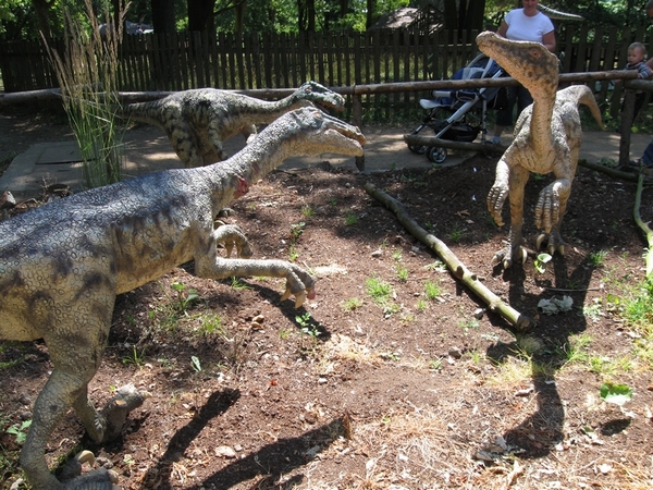 DinoPark 07