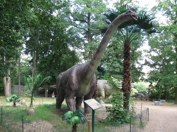 DinoPark 08