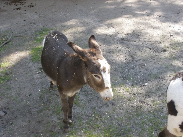 Zoo Děčín 03