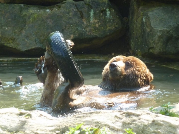 Zoo Děčín 05