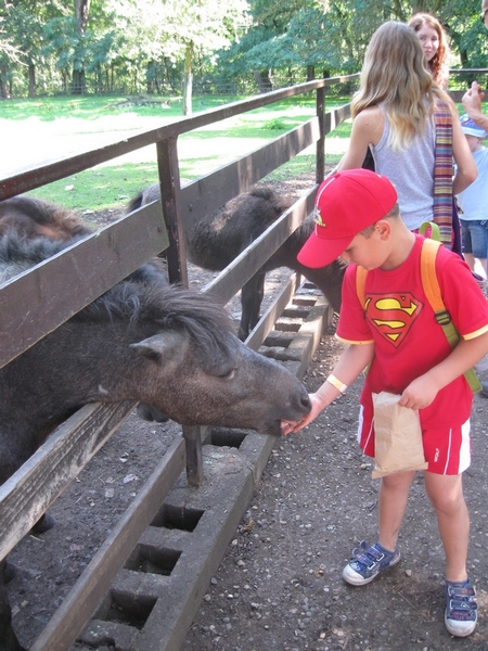 Zoopark Chomutov 11