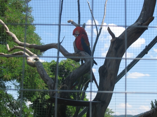 ZOO Ústí nad Labem 03