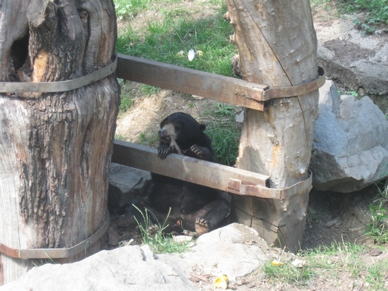 ZOO Ústí nad Labem 05