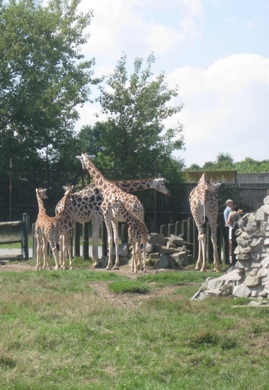 ZOO Ústí nad Labem 08