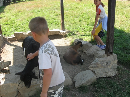 ZOO Ústí nad Labem 12