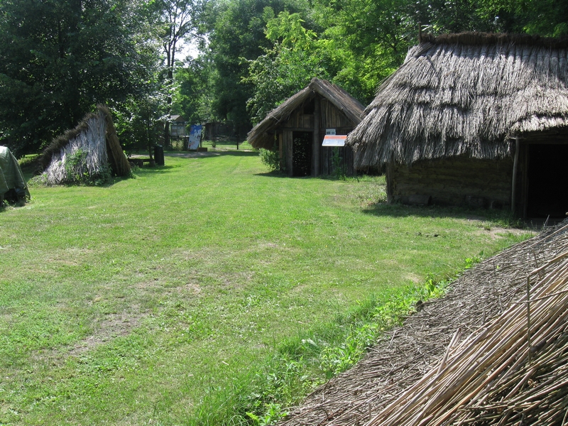 IMG_5180